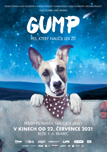 Gump – pes, který naučil lidi žít - letní kino
